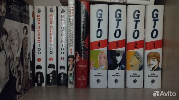 Манга и ранобэ см описание