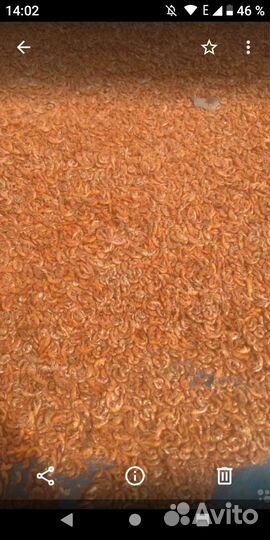 Корм для аквариумных рыбок