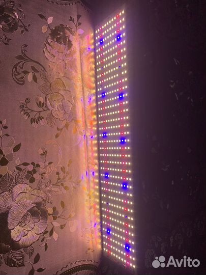 LED для растений 420w