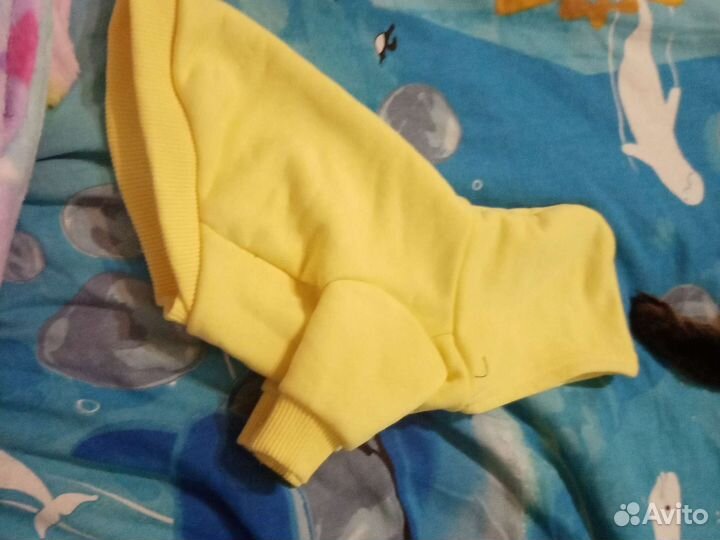 Одежда для собаки той-терьер