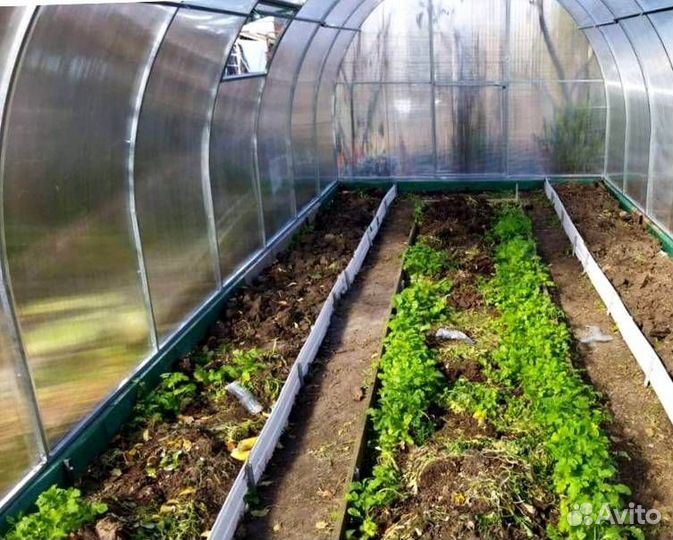 Теплица 3 на 4 m