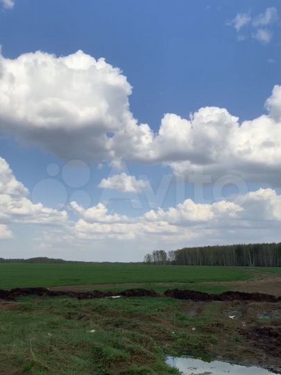 Участок 97,41 га (СНТ, ДНП)