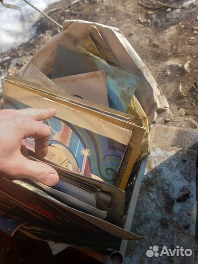 Виниловые пластинки