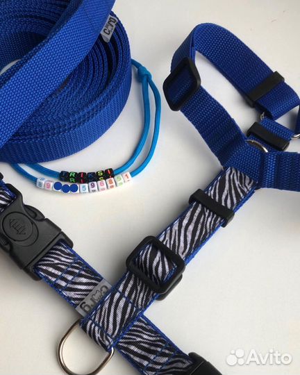 Шлейка, ошейник, поводок