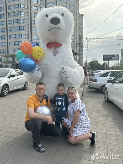 Белый мишка поздравление