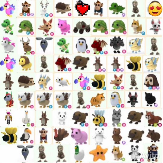 Петы на заказ