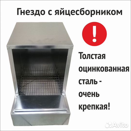 Гнездо для кур с яйцесборником