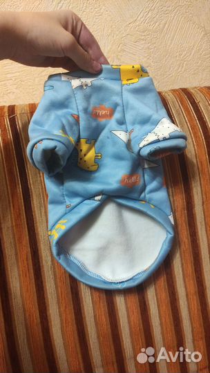 Одежда для животных