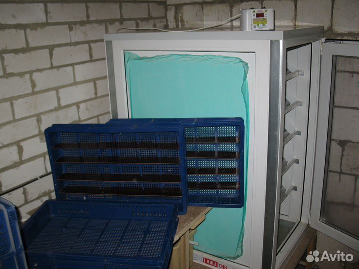 Автоматический инкубатор