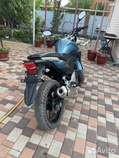 Stels Flex 250