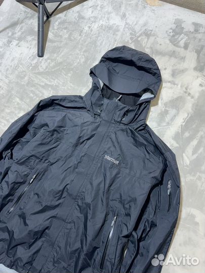 Вертровка marmot