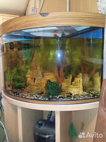Аквариум угловой 200 литров