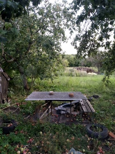 Участок 50 сот. (СНТ, ДНП)