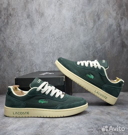 Красовки мужские Lacoste