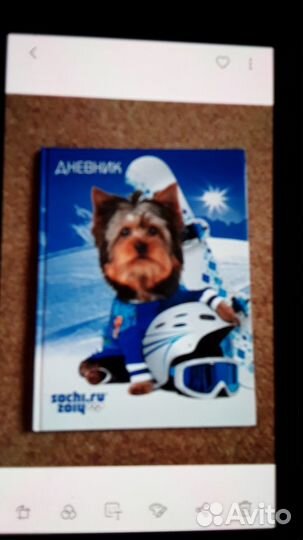 Дневники школьные