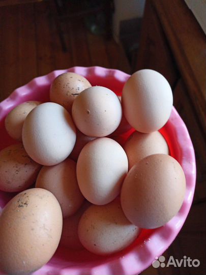 Домашние куриные яйца
