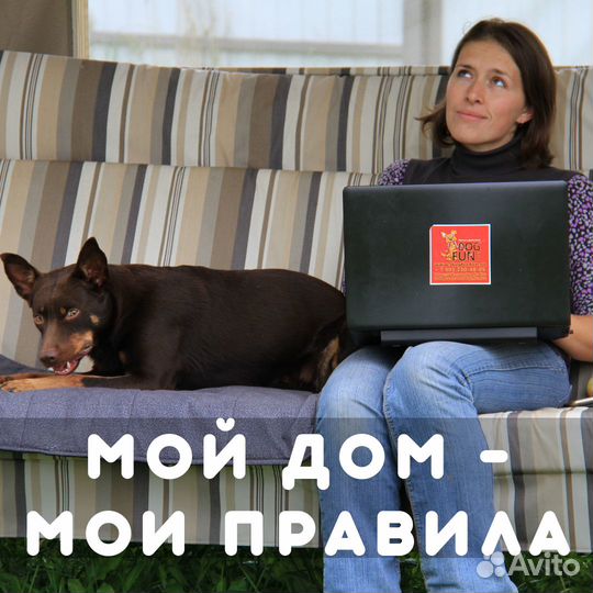 Кинолог, дрессировка собак