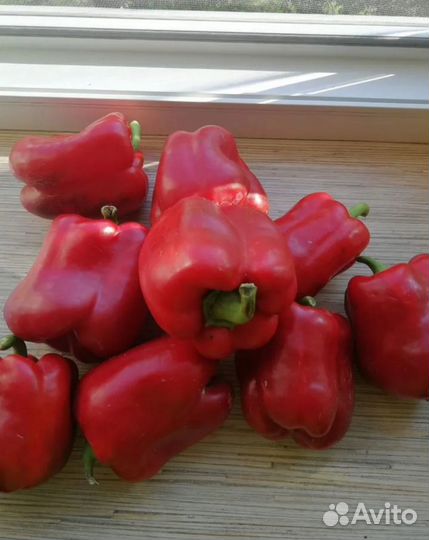 Перец сладкий мясистый. (Желтый, Красный)