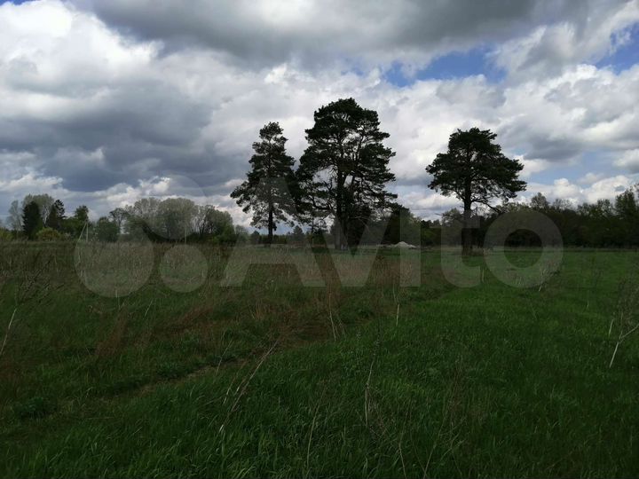 Участок 100 сот. (СНТ, ДНП)