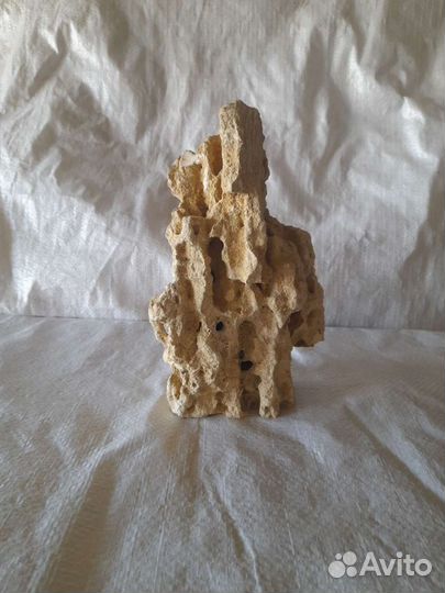 Для аквариума