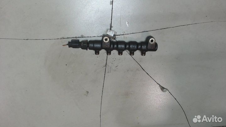 Рампа топливная Citroen Berlingo, 2009