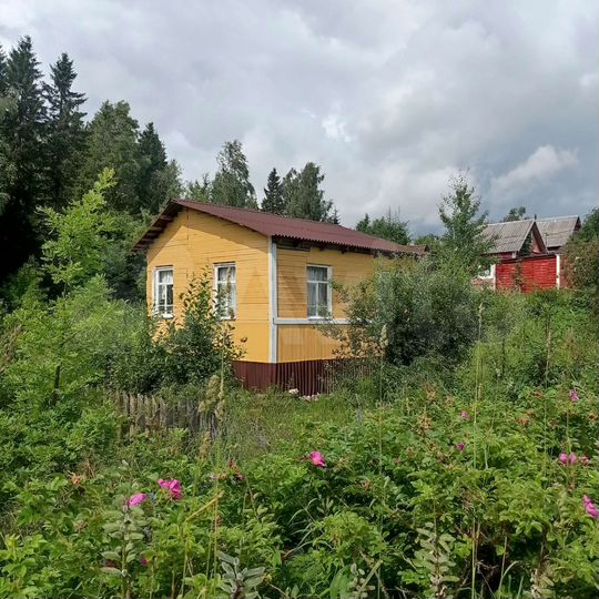 Дом 25 м² на участке 13,4 сот.