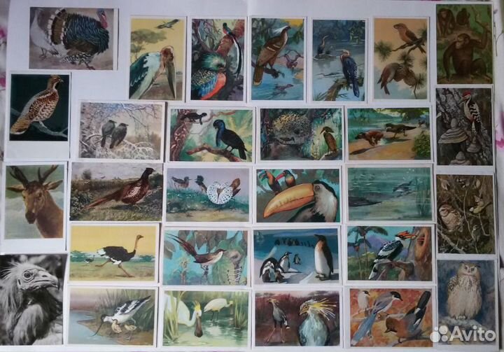 Открытки разные советские немецкие царские