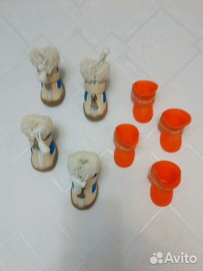 Обувь для маленьких собак