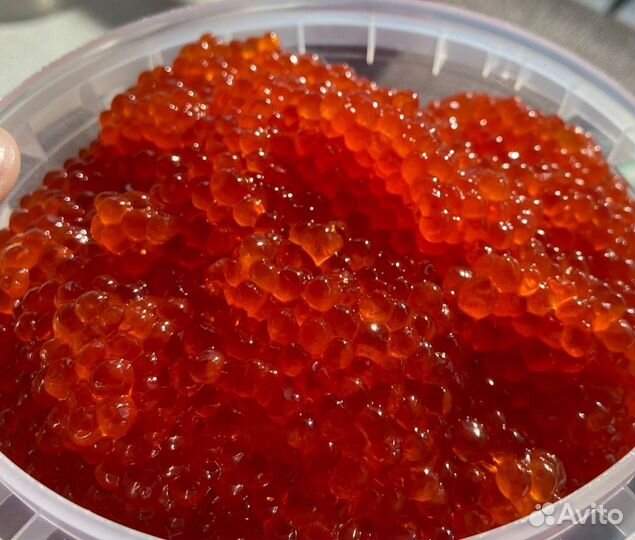 Готовый бизнес. Красная икра