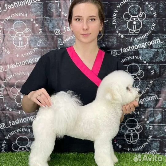 Грумер Груминг Стрижка собак кошек Стриппинг