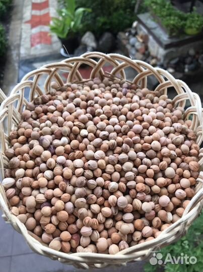 Вишнёвые косточки