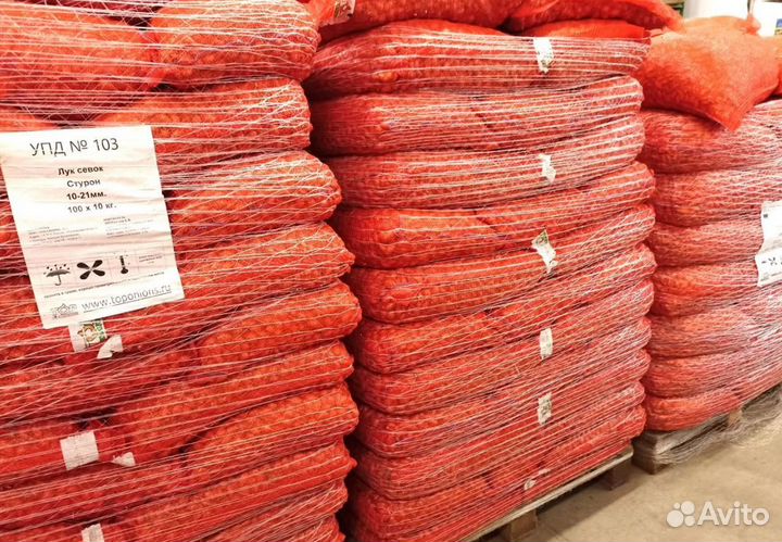 Лук севок оптом