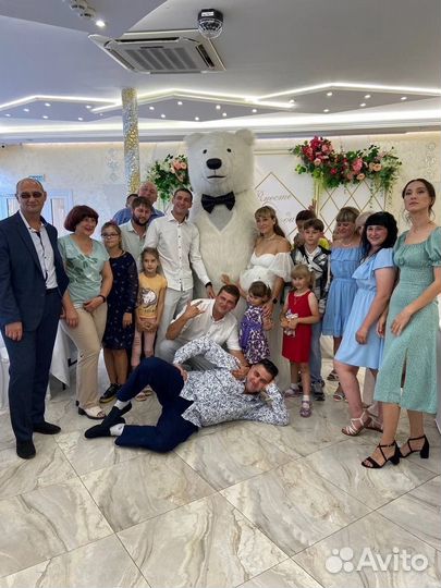 Поздравление от Белого Медведя,живая открытка