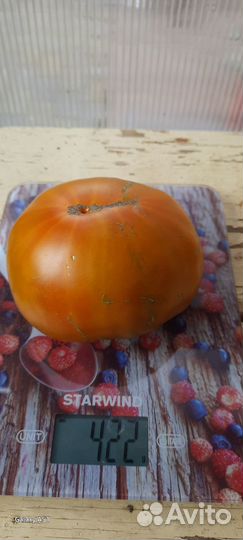 Семена овощей И цветов