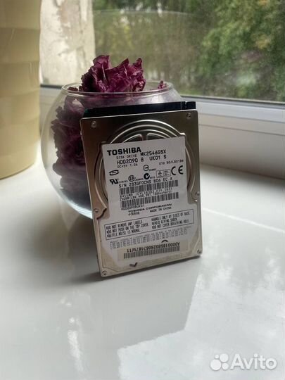 HDD 250gb, 500gb, 1TB