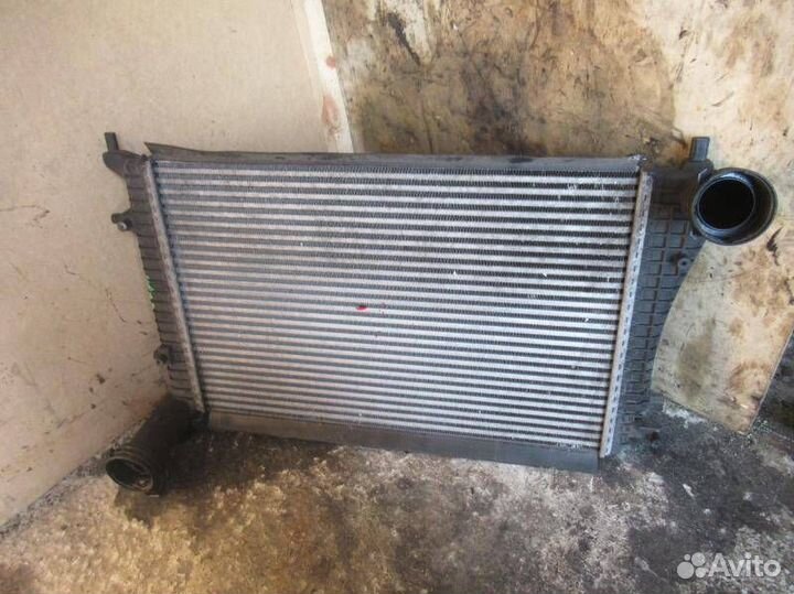 Интеркулер Volkswagen Passat B6 2008 3C0145803G