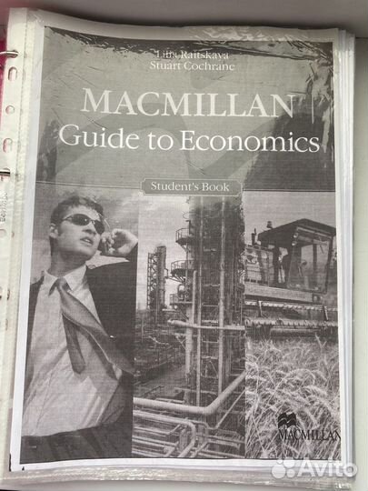 MacMillan Guide to Economy
