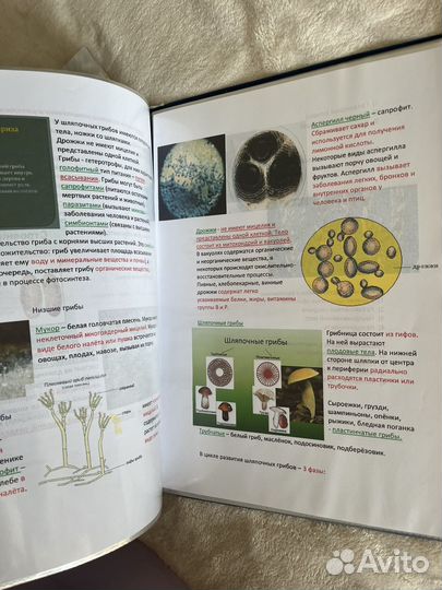 Справочный материал