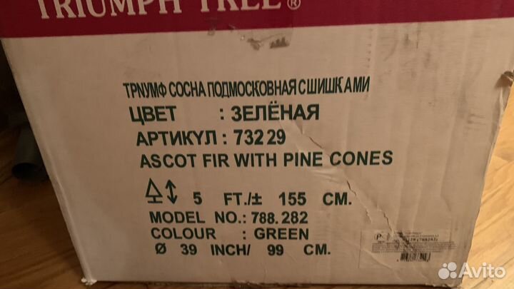 Triumph tree сосна 155 см