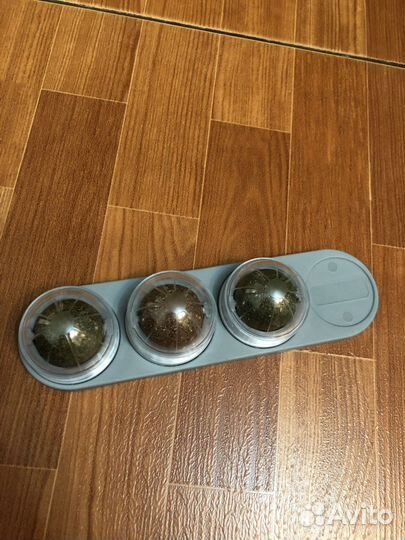 Кошачья мята