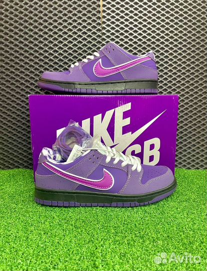 Кроссовки Nike SB Dunk Low Purple Lobster