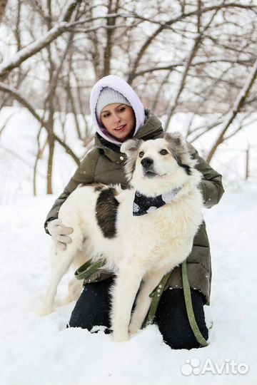 Красавчик Шмель ищет любящую семью