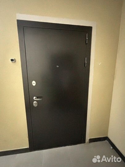 Дверь входная на улицу