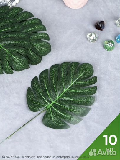 Фотозона Сафари