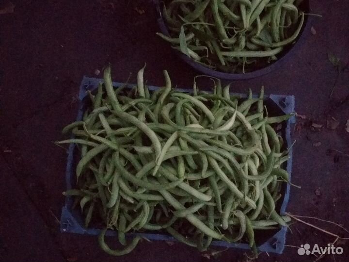 Спаржевая фасоль