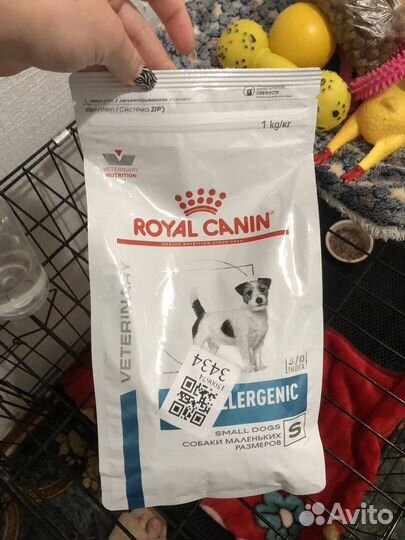 Корм для собак