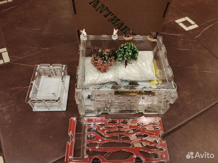 Новый муравейник, комплект