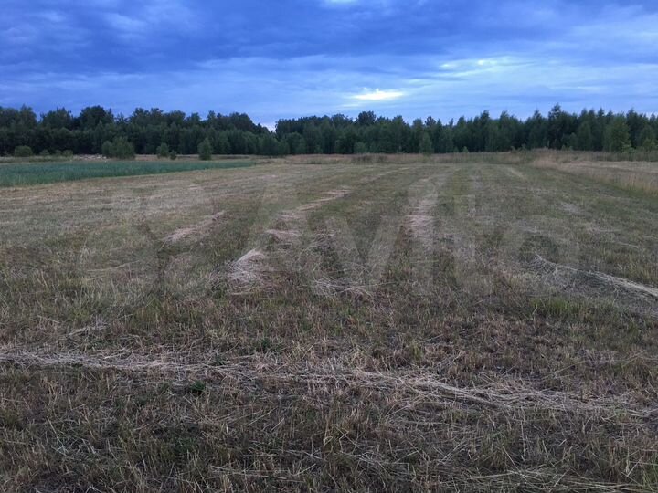 Участок 15 сот. (ИЖС)