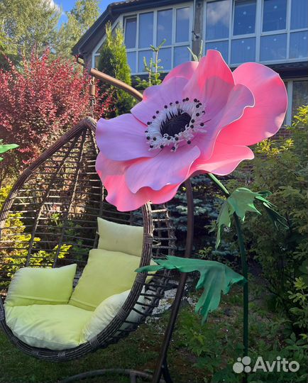 Ростовые цветы в аренду