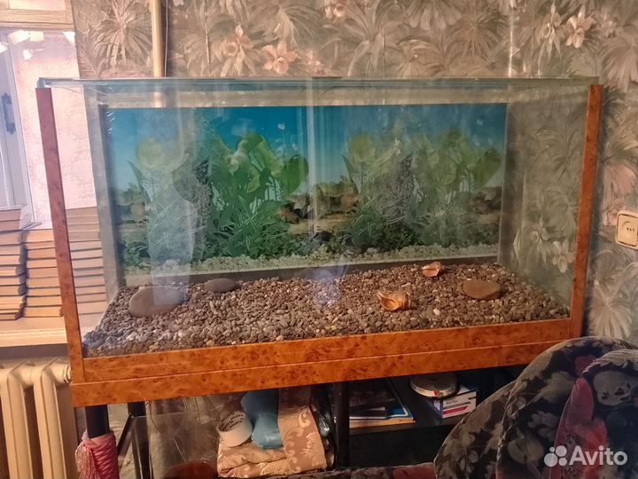 Аквариум